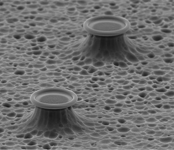 SEM image of microtoroid